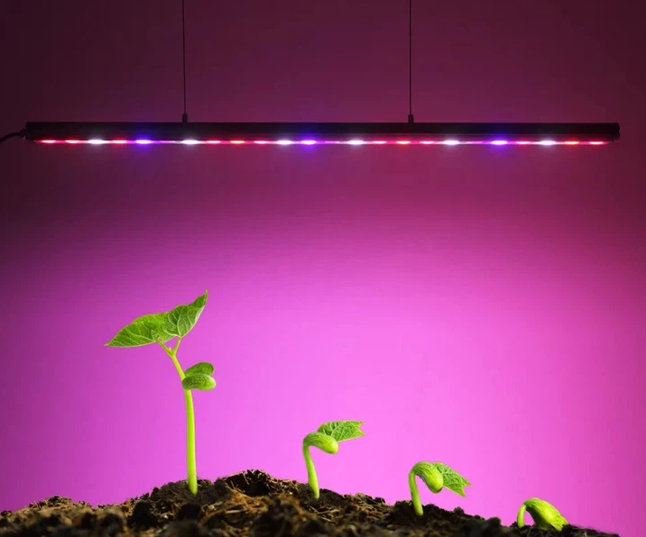 product-716-596 product-716-596