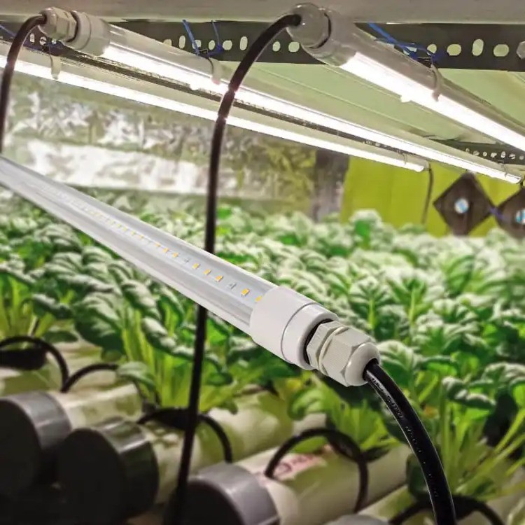 full spectrum tube vertical farm 2 full spectrum tube vertical farm 2