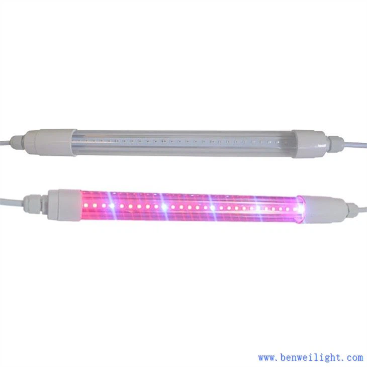 grow light kits for seed startin
