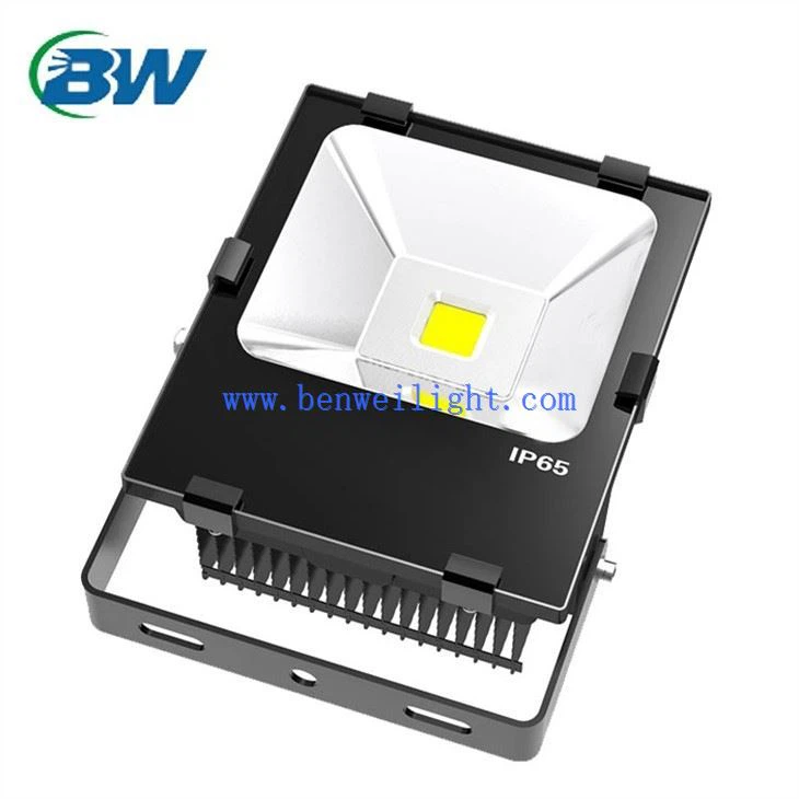 12v Flood Light
