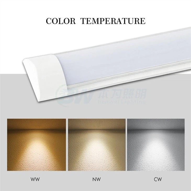 Twin Led Batten 4ft