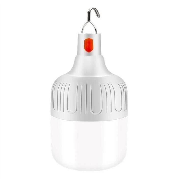20 watt rechargeable bulb