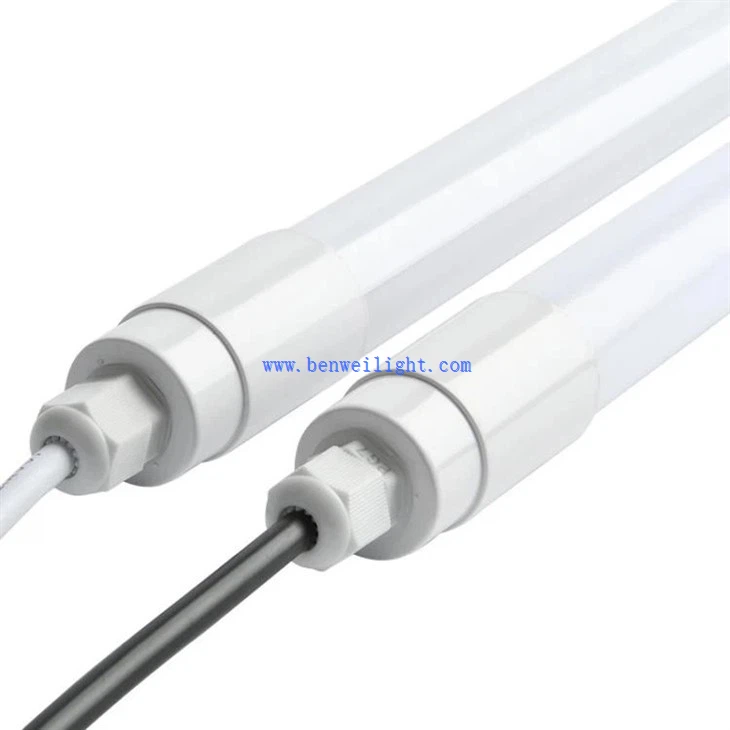 Beef Production Light (1)
