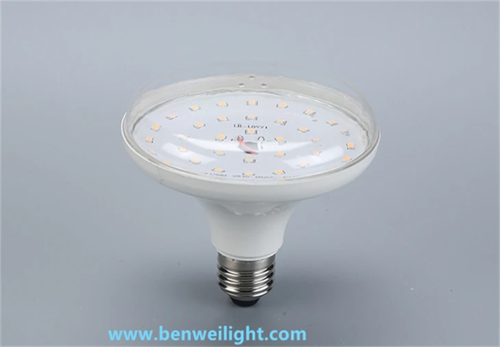Dragon Fruit Specialist LED Grow Light - 5W Full Spectrum Pitaya Bloom & Growth