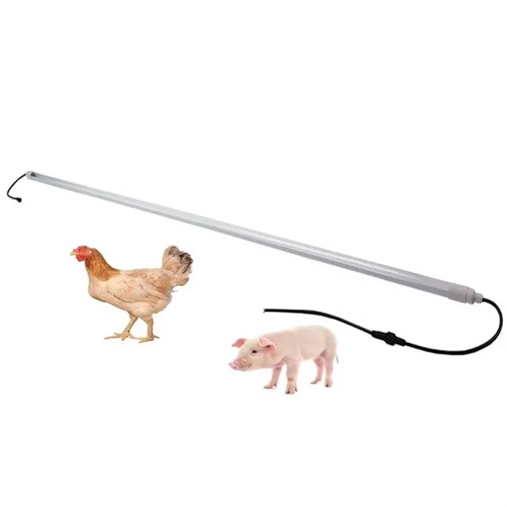 LED T8 vedenpitävä valoputki siipikarjalle