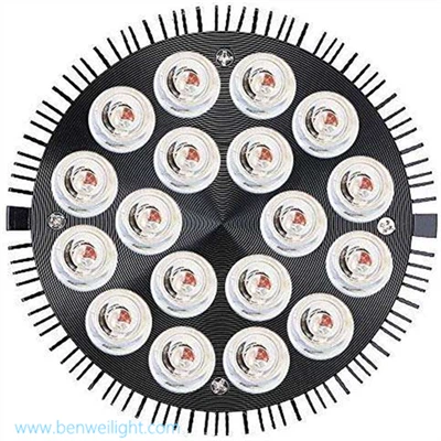 Medical Red Light Therapy Bulb: 810-850nm best