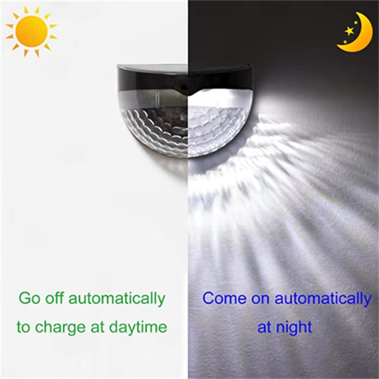 product-750-750 product-750-750