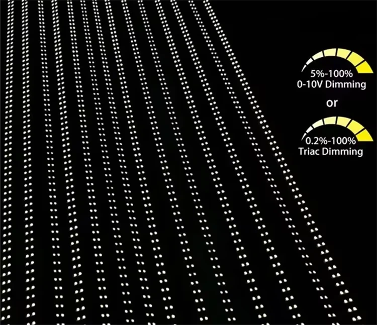 product-750-647 product-750-647