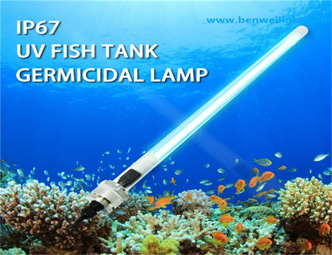 product-650-500 product-650-500