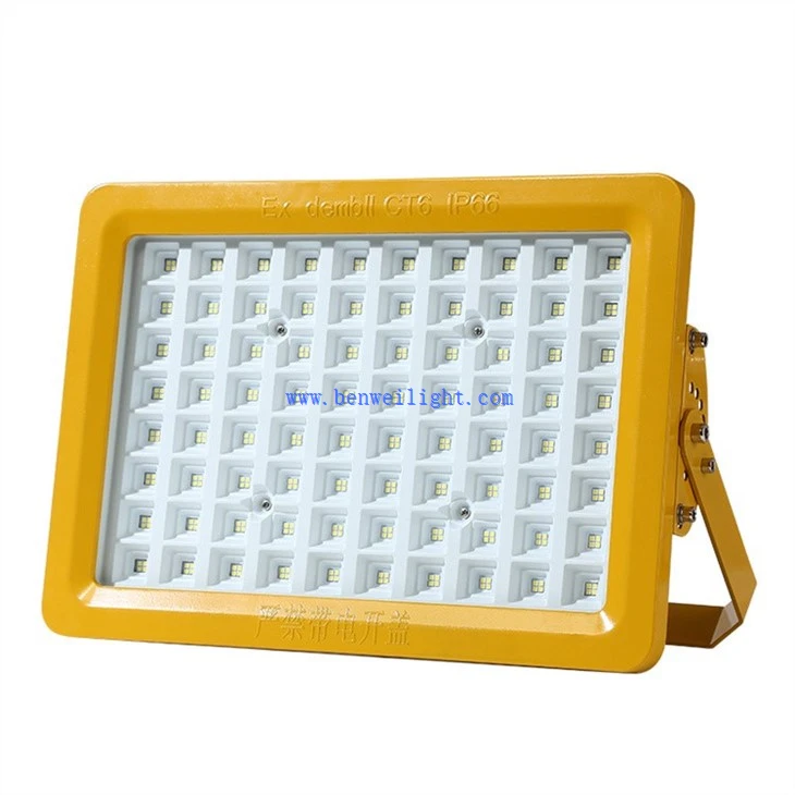 Safe Chemical Plant Flood Light (3)