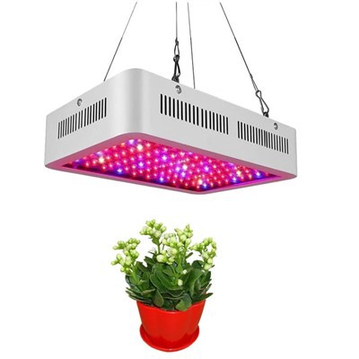LED kasvien kasvatusvalo