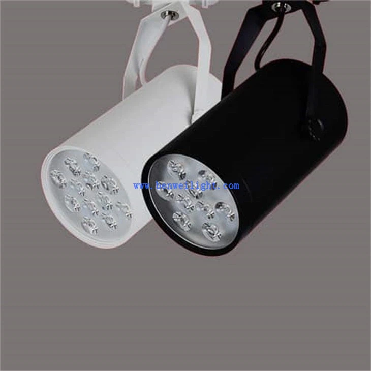 Track Light (3)