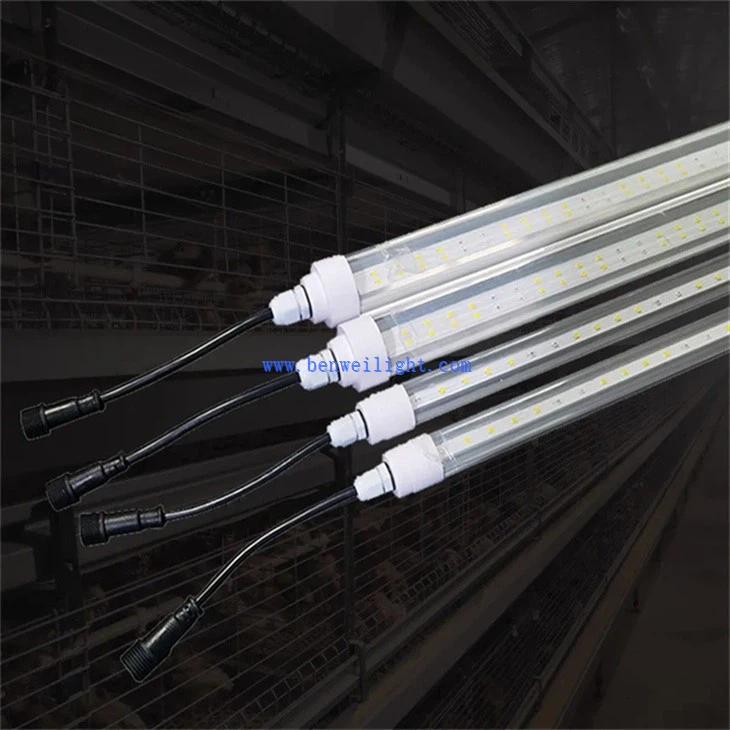 Weatherproof Tube Lights For Chicken Coop (1)