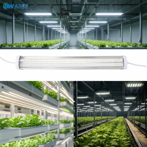 T20 himmennettävä kasvis Led Grow Lineaarinen linkitettävä IP65 valo 20-88W